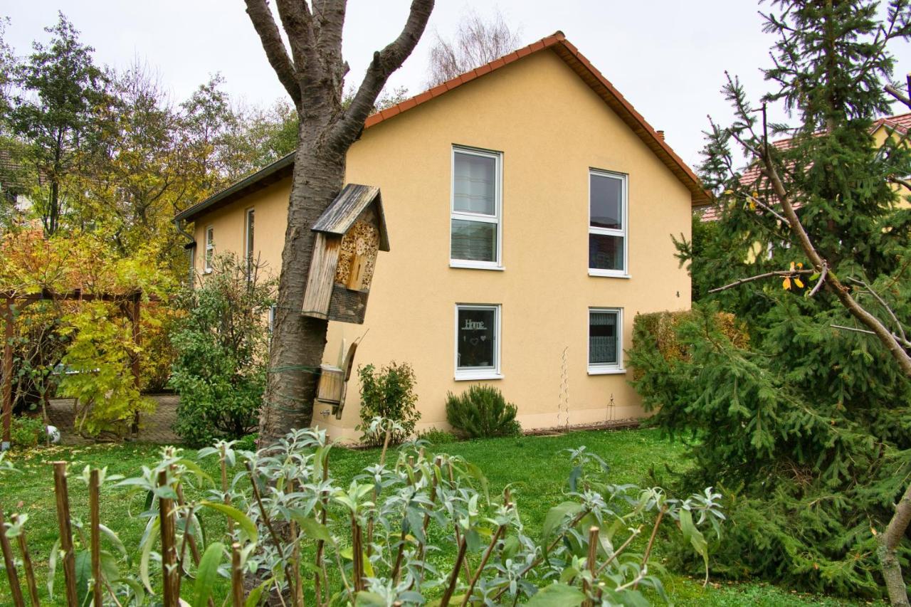 Mycozyplace - Gemuetliches Zimmer Fuer Zwei Dresden Buitenkant foto